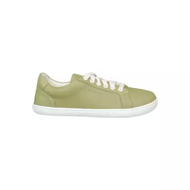 ANTAL Barefoot sneakers Amada Tea green