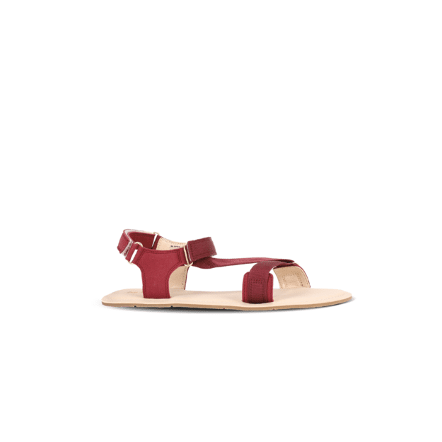 Barefoot basutės - Be Lenka Flexi 2.0 - vyšninė